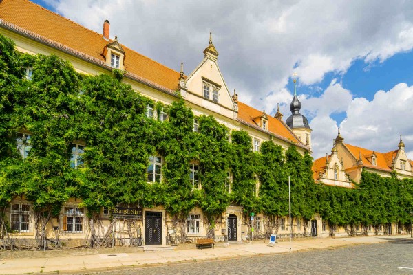 Wandbild Riesa - Der Rathausplatz (Motiv DMRIE46)