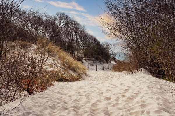 Wandbild Ostsee - Strandzugang zum Weststrand (Motiv DMOS12)