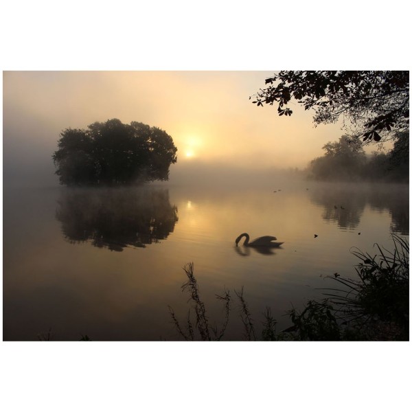 Wandbild - Nebel in Moritzburg (Motiv CS29)