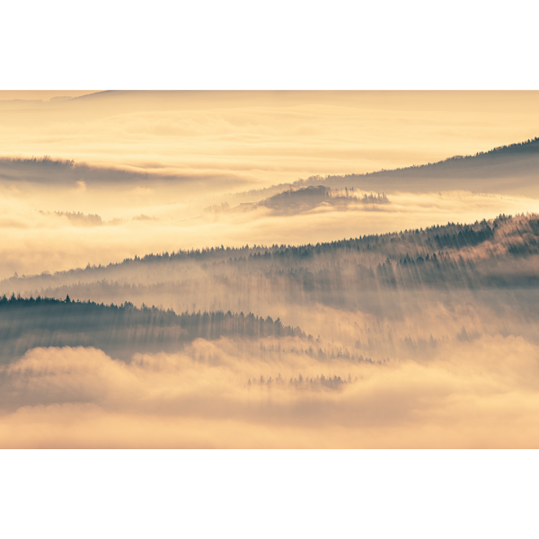 Wandbild Zittauer Gebirge - Endloser Wald umschlungen von Nebel (Motiv LV32)