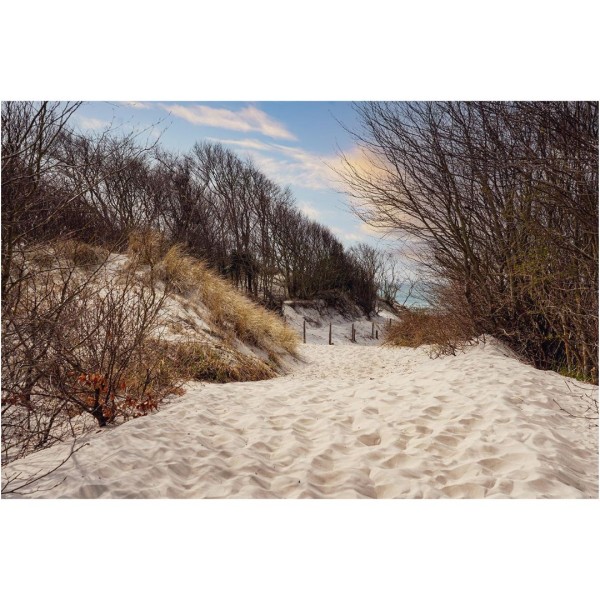 Wandbild Ostsee - Strandzugang zum Weststrand (Motiv DMOS12)