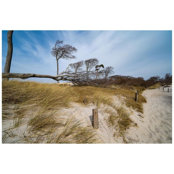 Wandbild Ostsee - Weg zum Weststrand (Motiv DMOS25)
