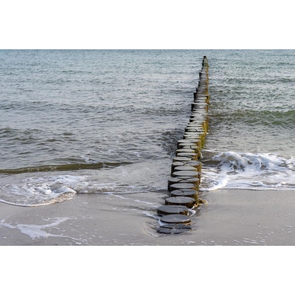 Wandbild Ostsee - Buhnen am Strand von Zingst (Motiv DMOS10)