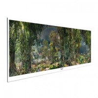 AMAZONIEN - Panoramaposter - Yadegar Asisi 360° Panorama AMAZONIEN - Panoramaposter - Yadegar Asisi 360° Panorama