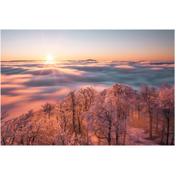 Wandbild Zittauer Gebirge - Wintermorgen auf der Lausche (Motiv LV42)