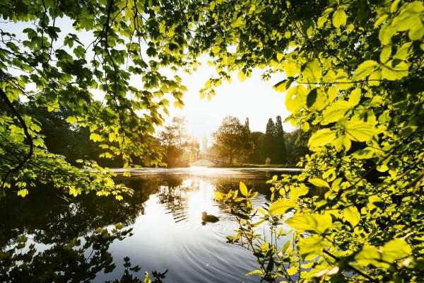 Wandbild Leipzig - Idyllischer Blick aus dem Johannapark (Motiv JM02)