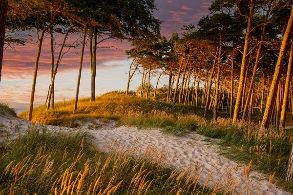 Wandbild Ostsee - Weststrand von Zingst (Motiv DMOS07)