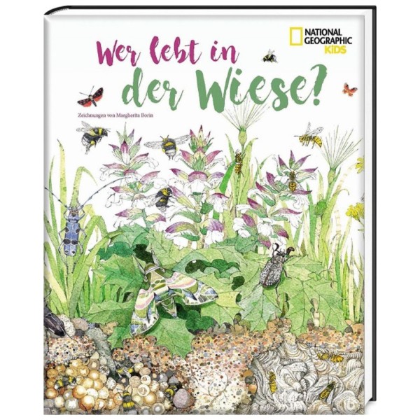 Wer lebt in der Wiese?