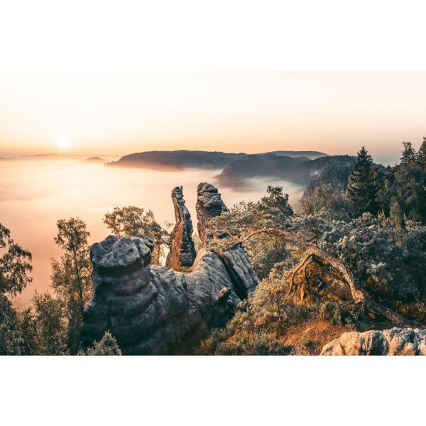 Wandbild Sächsische Schweiz - In Morgenlicht gehüllte Felsen (Motiv LV24)