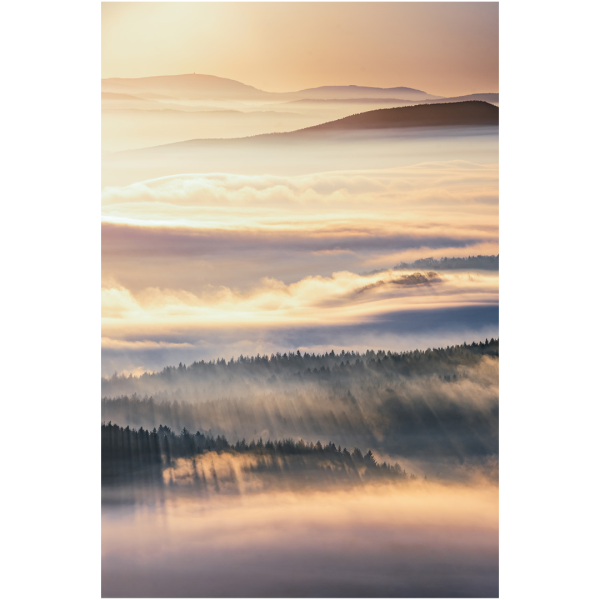 Wandbild Zittauer Gebirge - Endloser Wald umschlungen von Nebel (Motiv LV29)