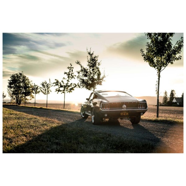 Wandbild 1967 Ford Mustang Fastback GT (Motiv V8 11)