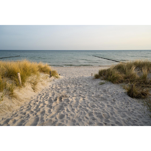 Wandbild Ostsee - Strandübergang 36 Prerow (Motiv DMOS23)