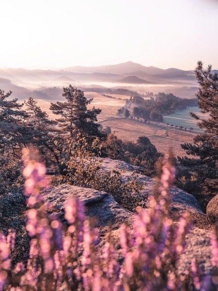 Wandbild Böhmische Schweiz - Sonnenaufgang mit Blick auf den Studenec (Motiv LV46)