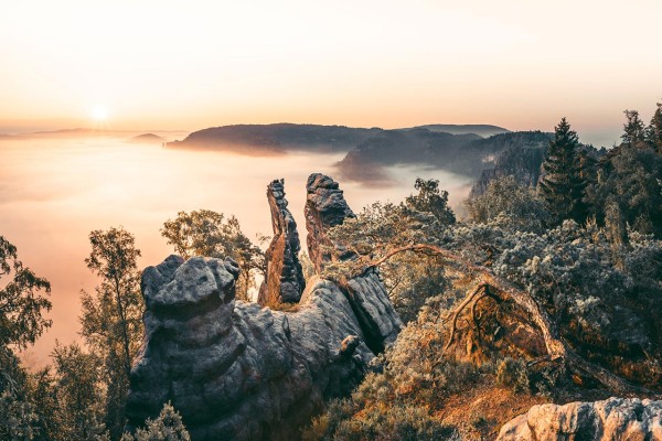 Wandbild Sächsische Schweiz - In Morgenlicht gehüllte Felsen (Motiv LV24)