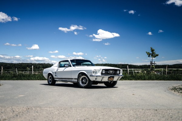 Wandbild 1967 Ford Mustang Fastback GTA 390 (Motiv V8 05)
