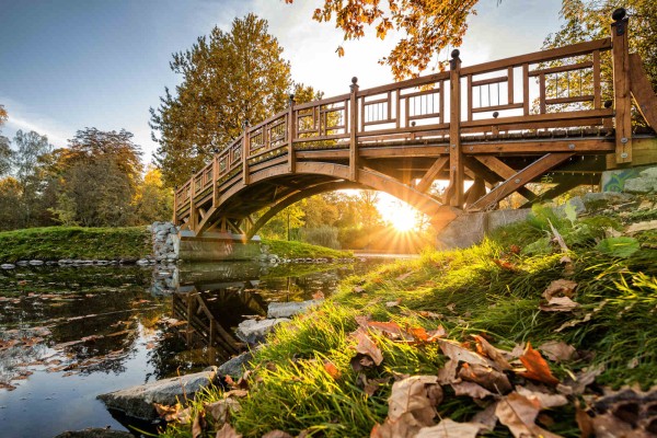 Wandbild Leipzig - Holzbrücke im Johannapark (Motiv PK06)