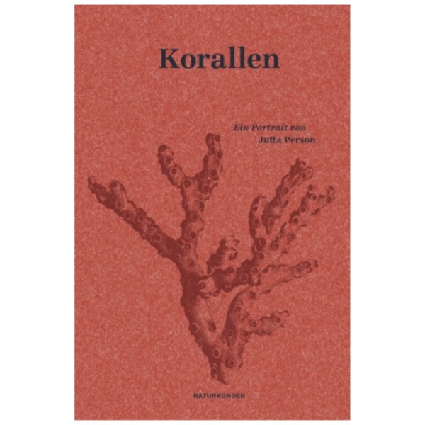 Korallen - Ein Porträt - Bebilderte Korallenexkursion