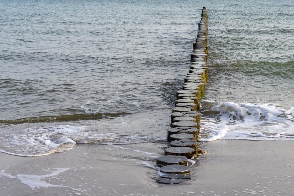 Wandbild Ostsee - Buhnen am Strand von Zingst (Motiv DMOS10)