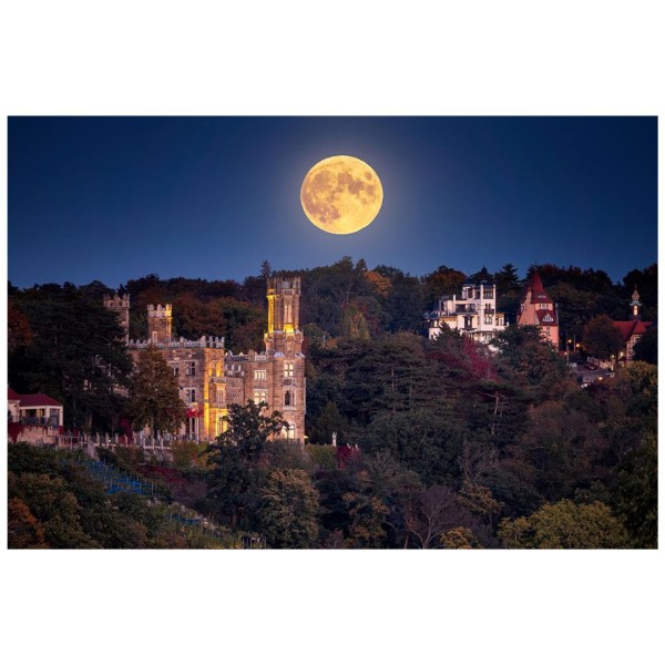Wandbild Dresden - Mondaufgang hinterm Schloss Eckberg (Motiv 01137)