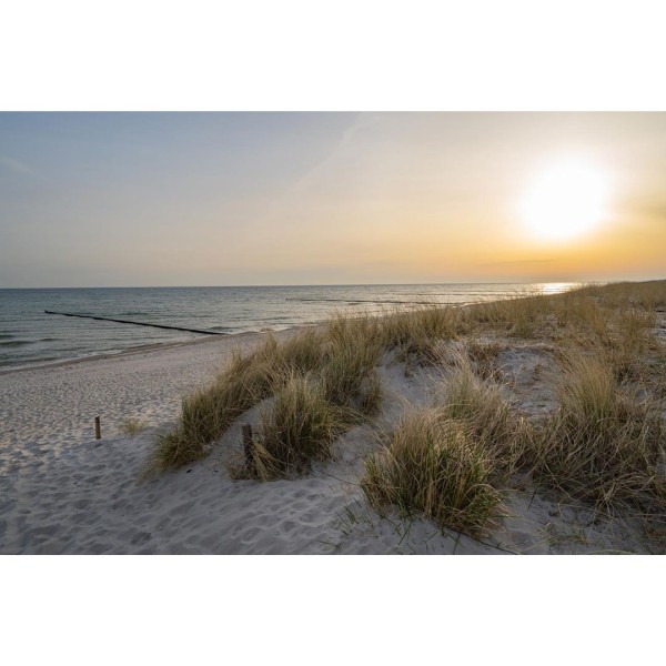 Wandbild Ostsee - Sonnenaufgang über der Ostsee (Motiv DMOS22)