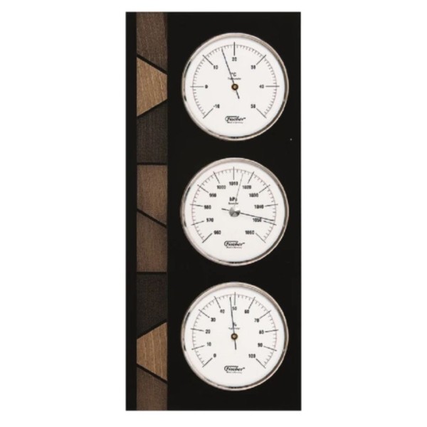 Fischer Wetterstation Edelstahl