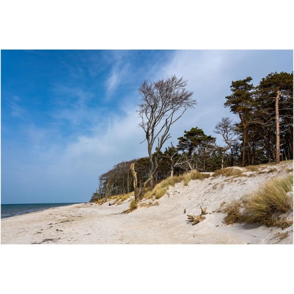 Wandbild Ostsee - Der Weststrand (Motiv DMOS13)